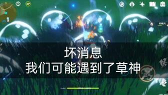 关于草神爆料的视频素材,视频素材揭示神秘生物真实面貌  第3张