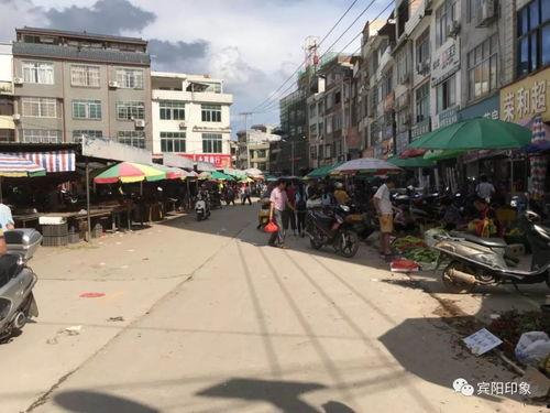 广西宾阳新闻爆料甘棠 第1张 广西宾阳新闻爆料甘棠 第1张